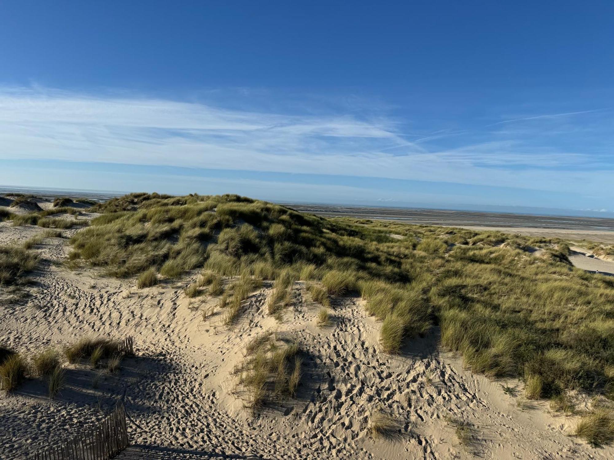 Le Touquet - Superbe Appartement 3 Chambres - Proche Mer & Centre - Wifi Bagian luar foto
